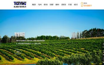 唐山网站建设如何保证安全性？