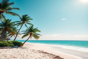 SEOer需关注关键词优化、内容质量、网站结构和用户体验四大要素。