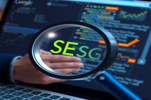 苏州太仓SEO成功案例解析：揭秘搜索引擎优化的秘诀 苏州太仓SEO成功案例分析：如何实现网站流量飙升？
